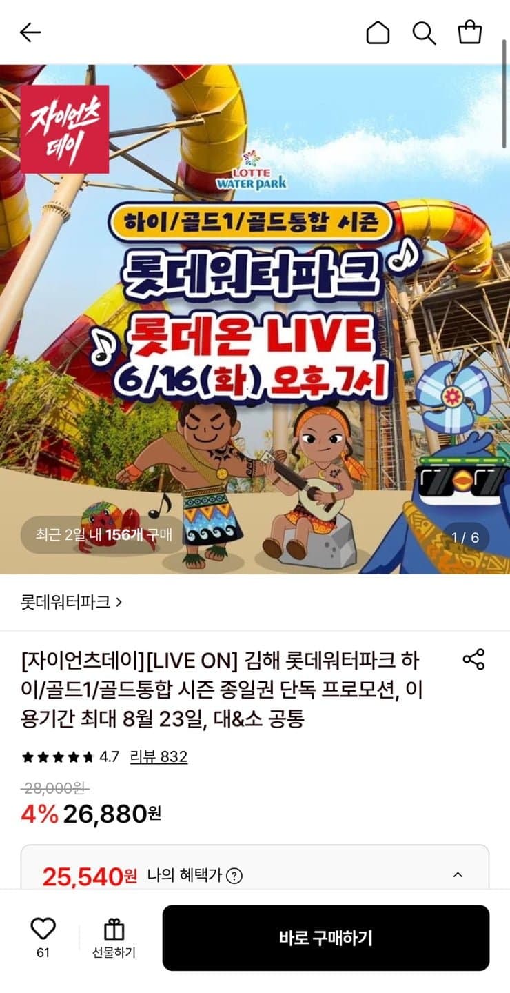 롯데워터파크 종일권