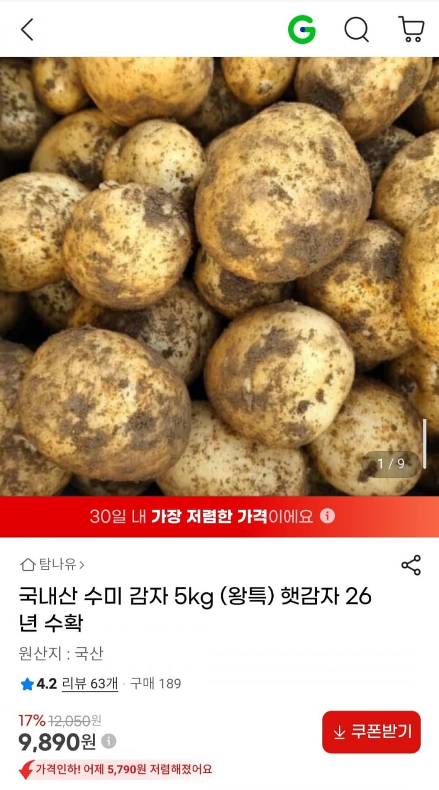 국내산 수미 감자 5kg