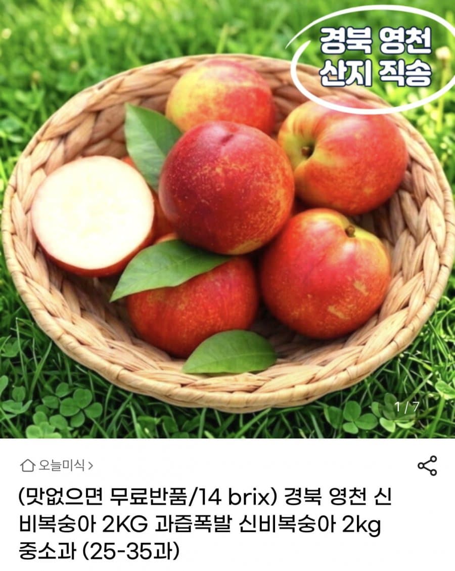 신비복숭아 중소과 2kg