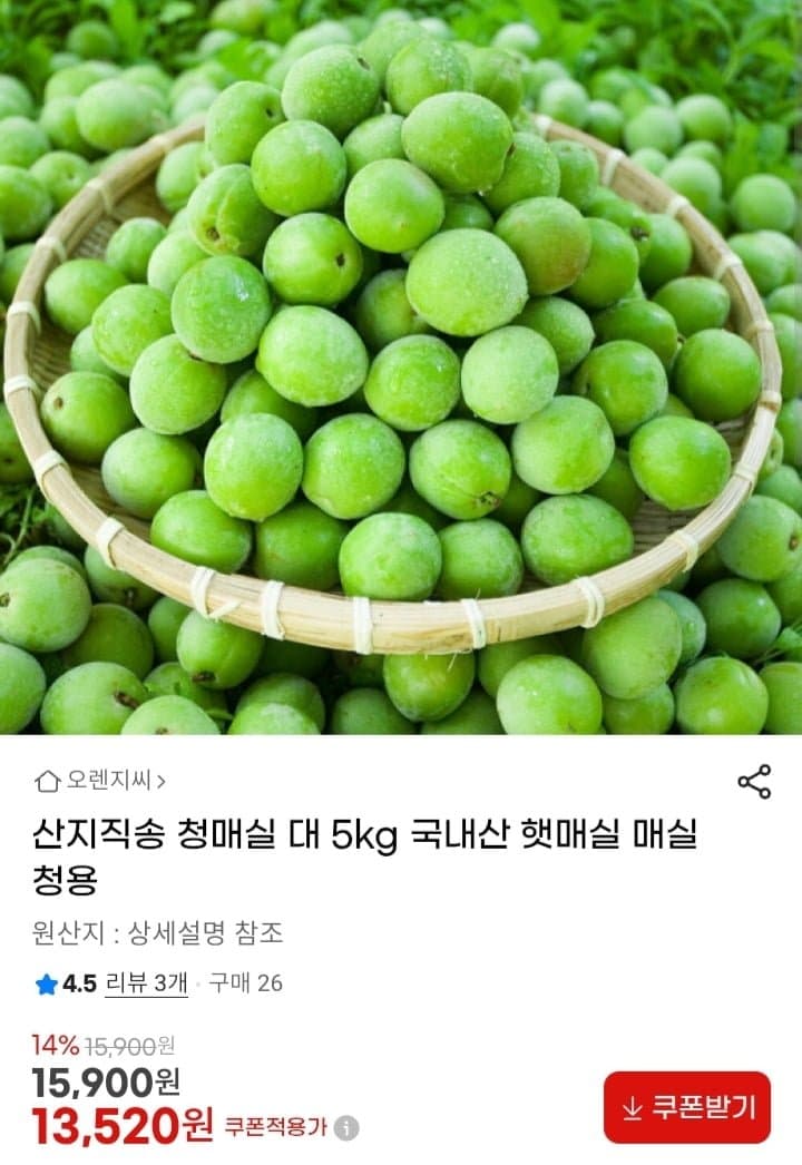 국내산 햇매실 청매실 5kg