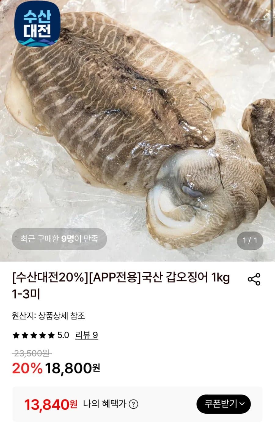 국산 갑오징어 1kg