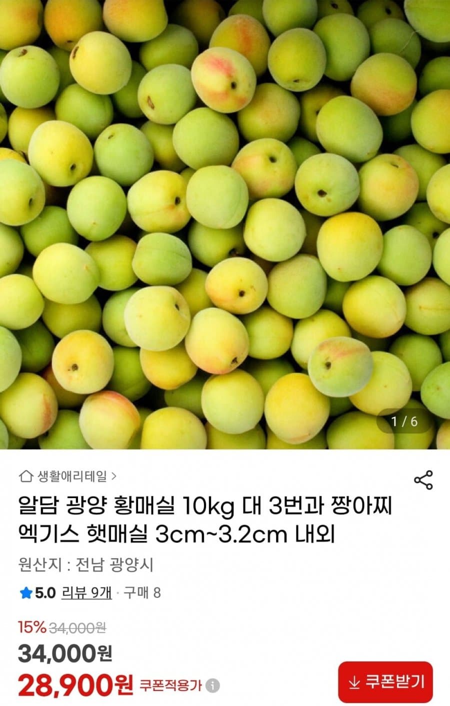 알담 광양 황매실 10kg