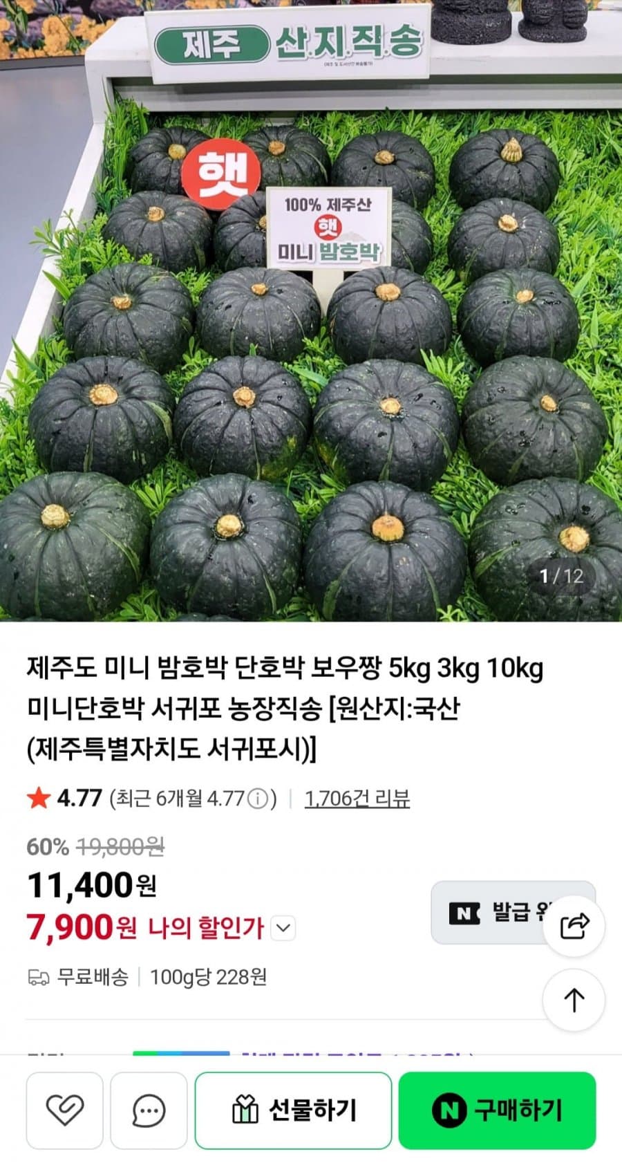 제주 미니 단호박 로열과 2kg