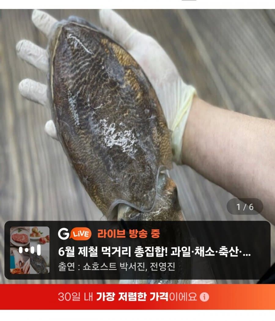 서해 갑오징어 중대짜 1kg
