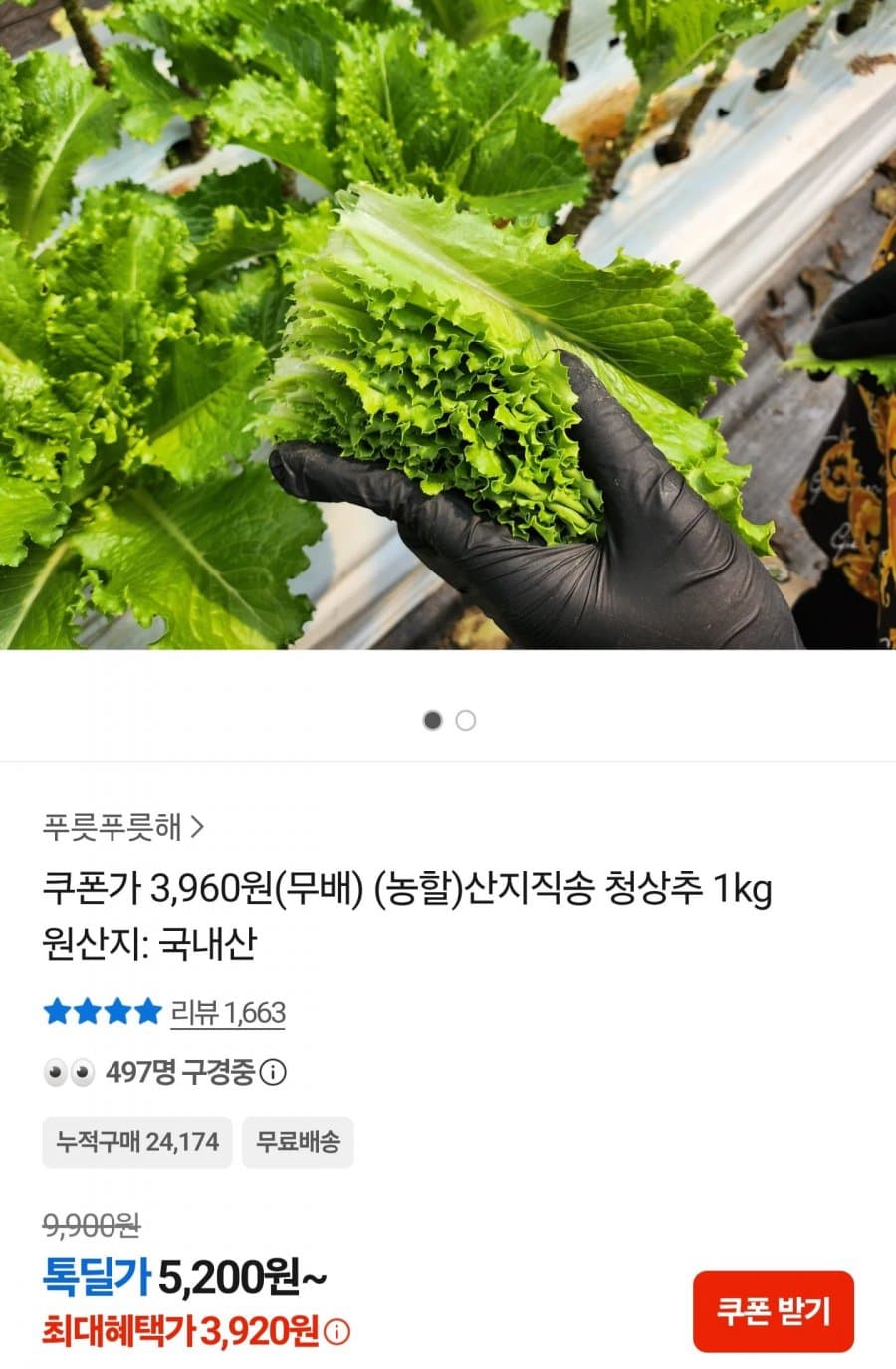 청상추 1kg