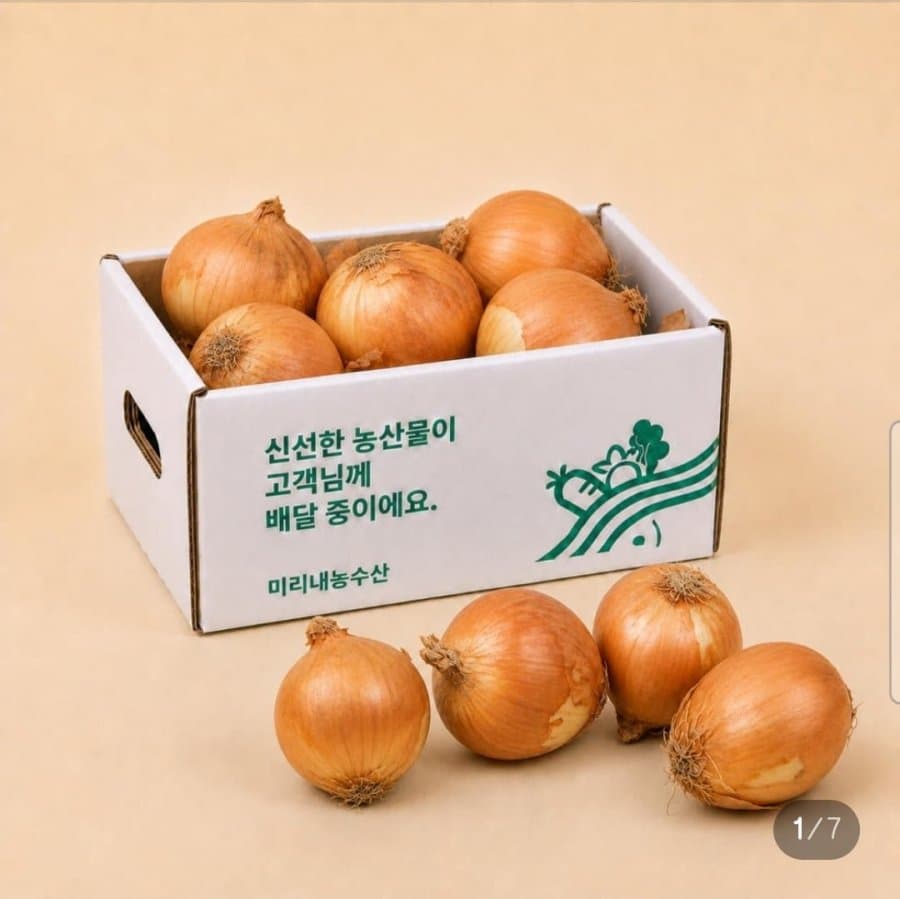 국내산 햇양파 3kg