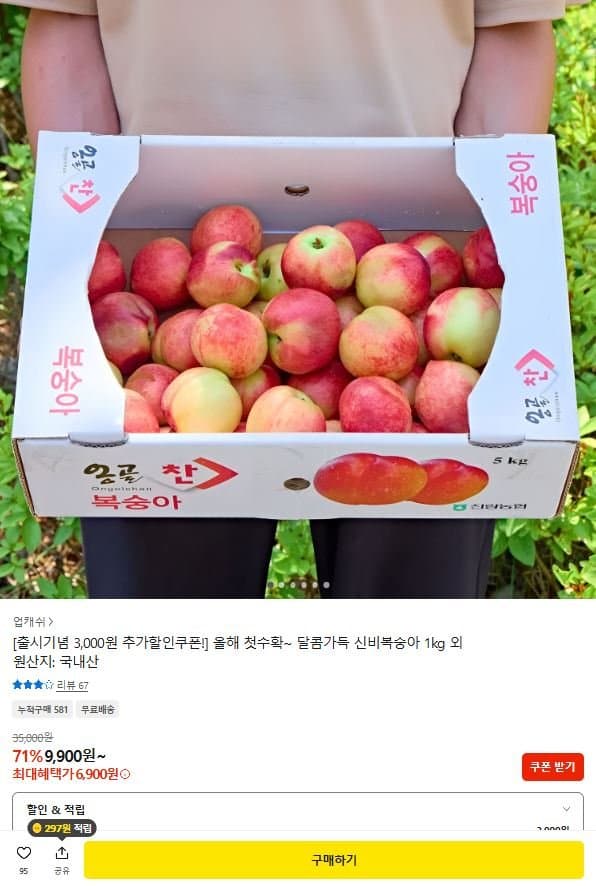 신비복숭아 5kg