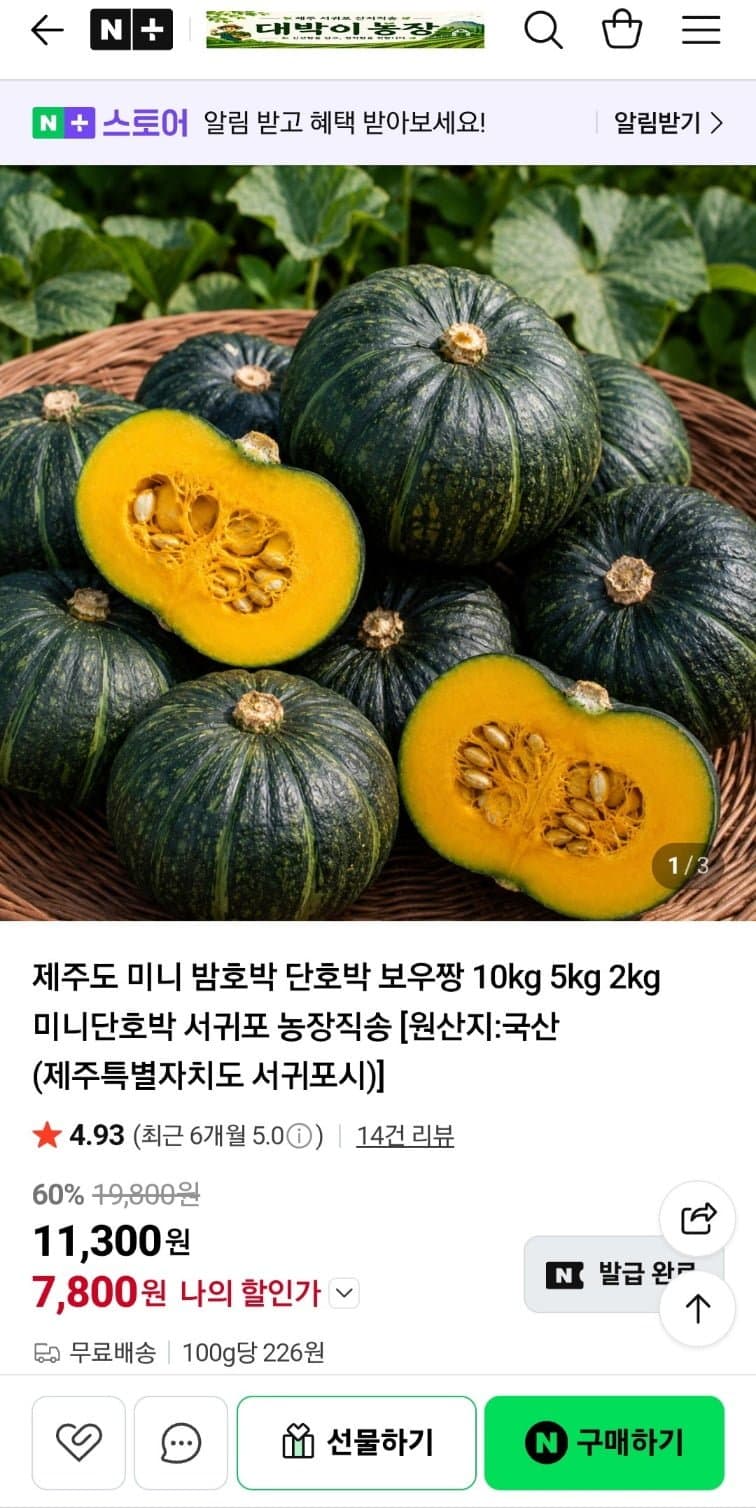보우짱 미니 밤호박 로열과 2kg