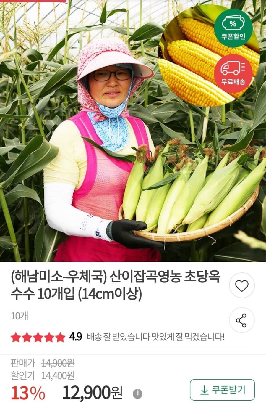 해남 초당옥수수 10개입