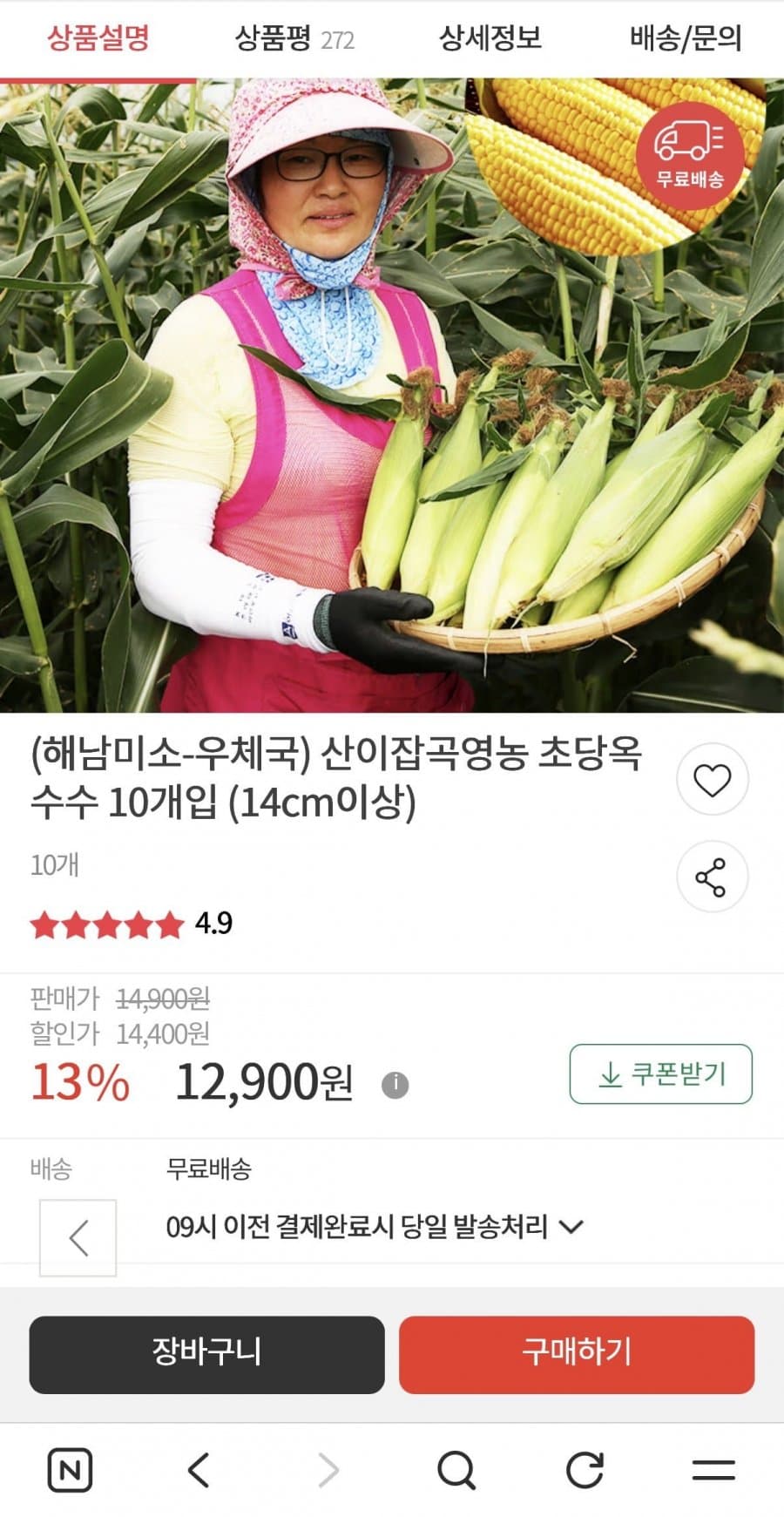 초당옥수수 10개입