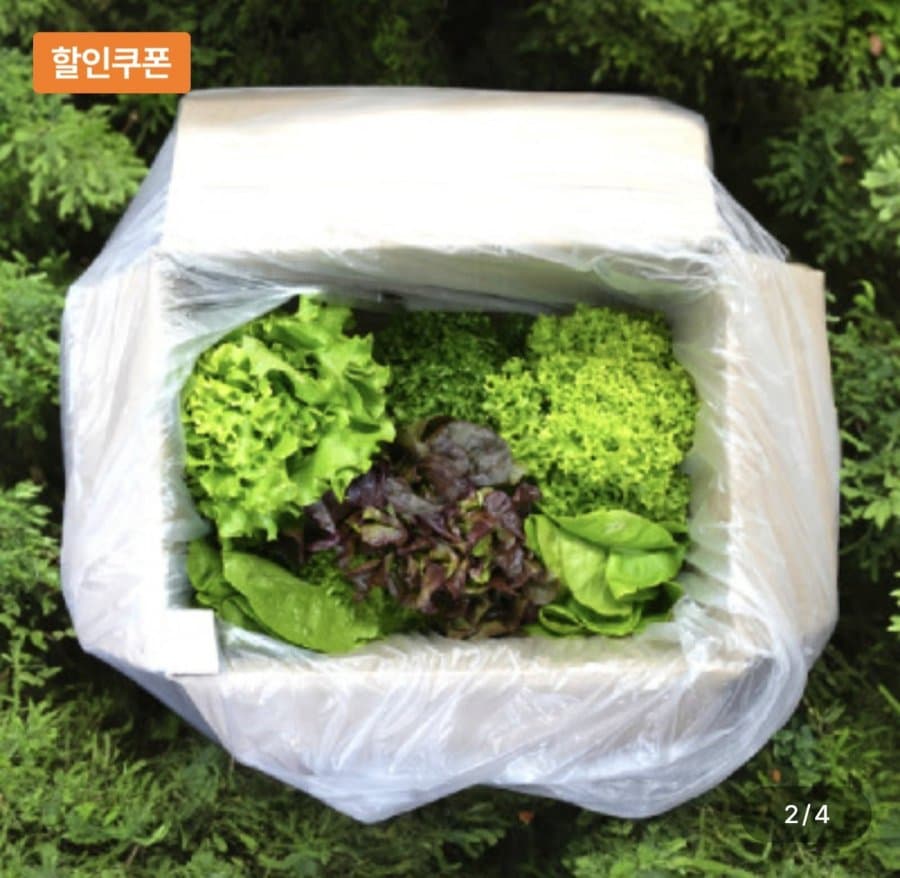 유러피안 샐러드 1kg