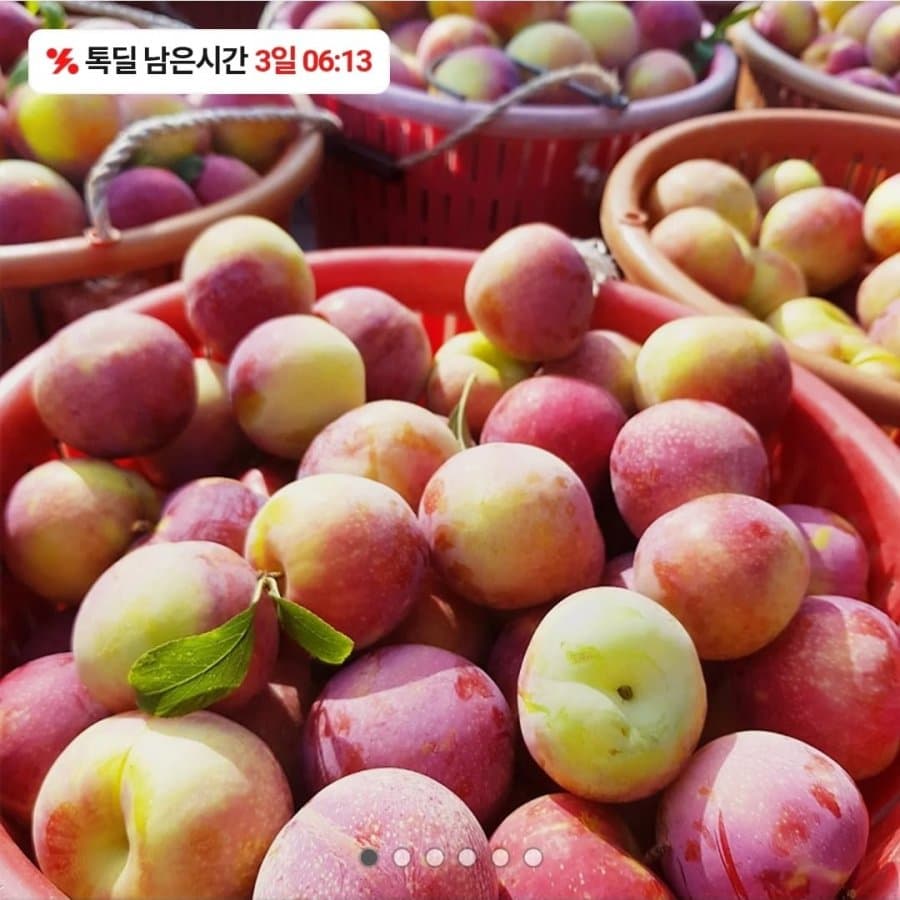 의성 대석자두 2kg
