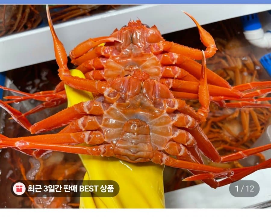자숙홍게 4kg 2박스