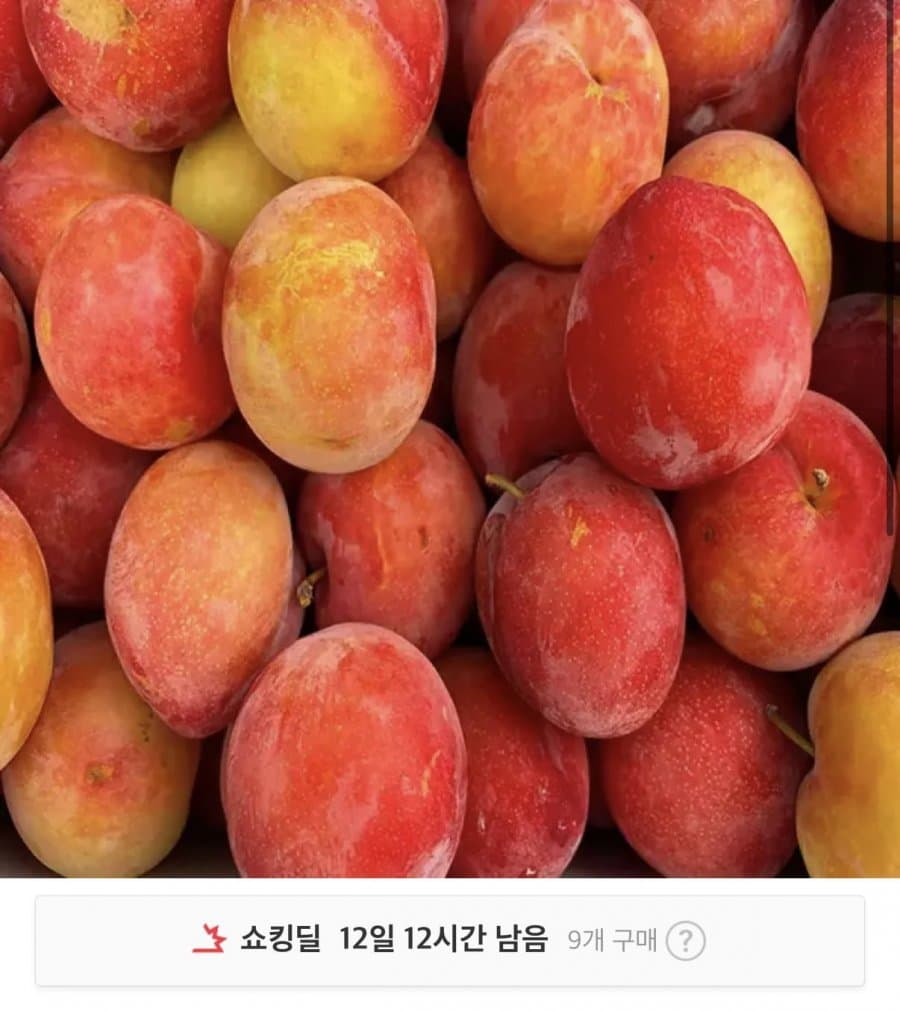 노지자두 1kg