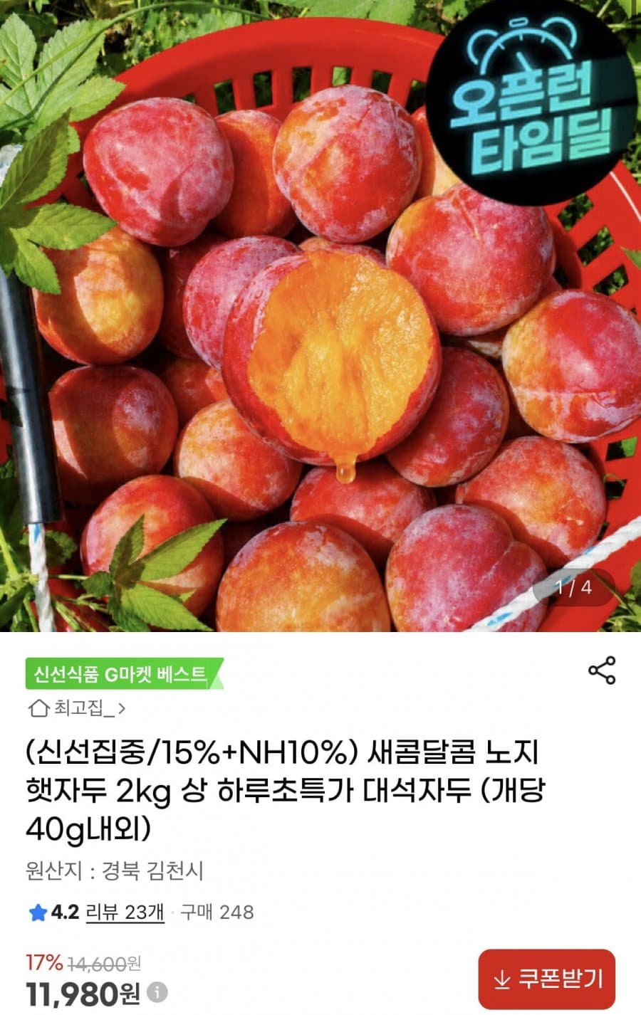 노지 햇 대석자두 2kg