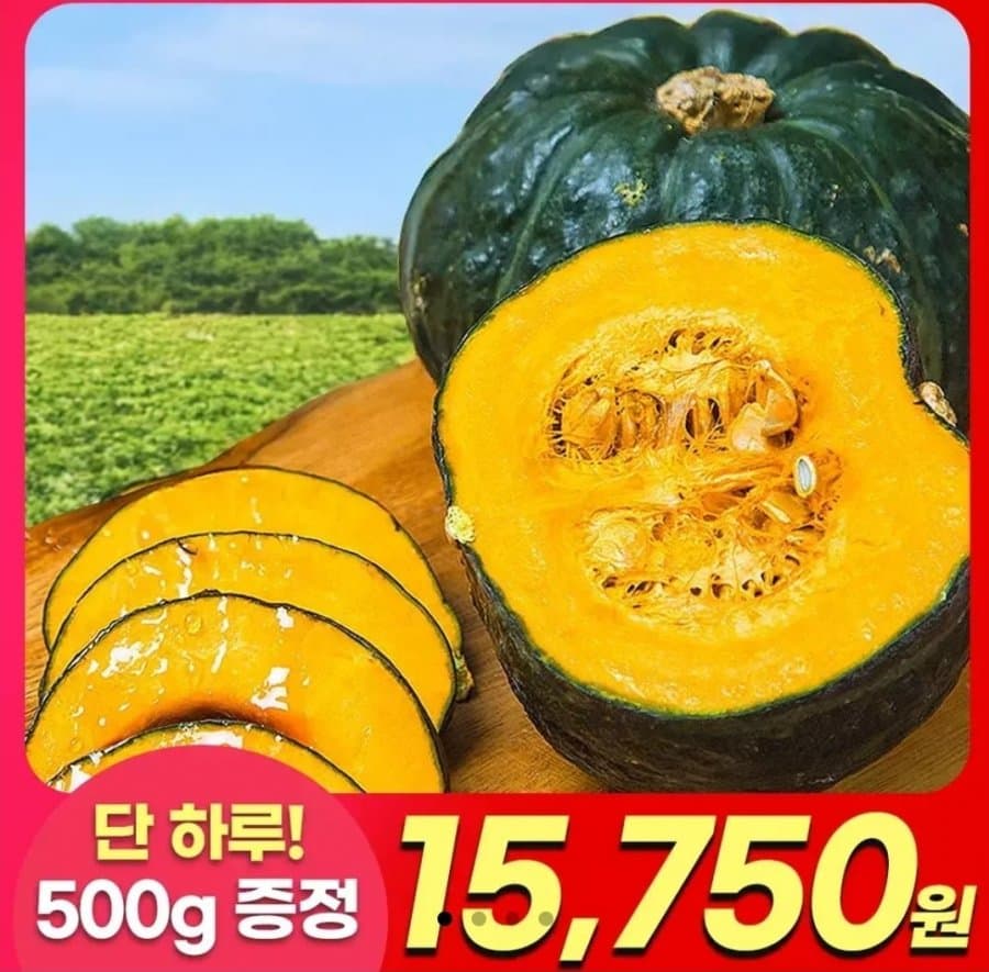 제주 햇 미니단호박 4.5kg