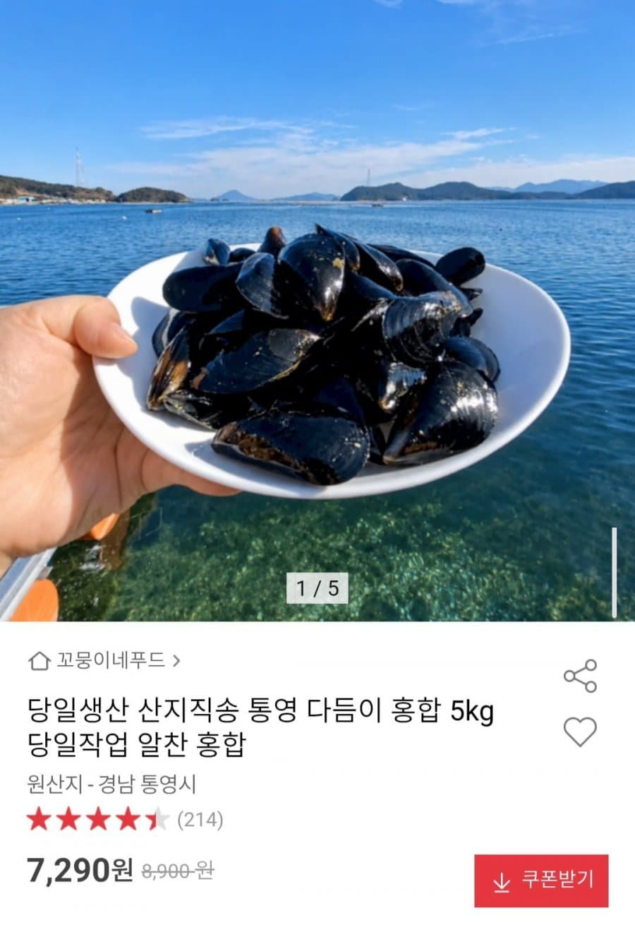 통영 다듬이 홍합 5kg