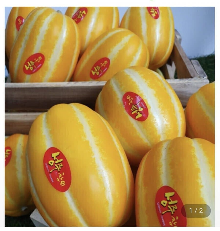 성주참외 9kg