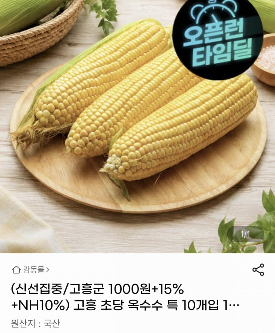 고흥 초당 옥수수 10개입