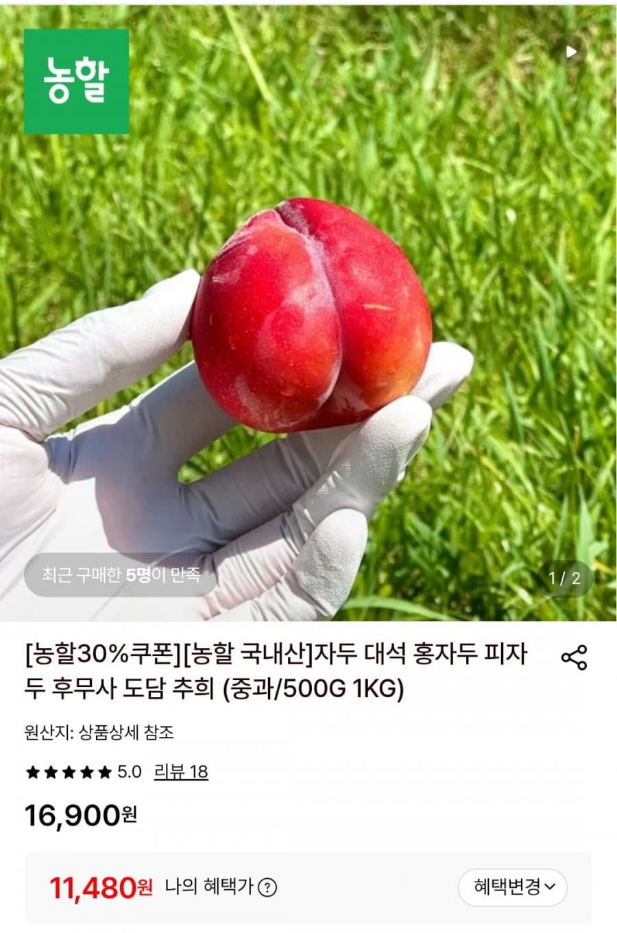 대석 자두 대과 1kg