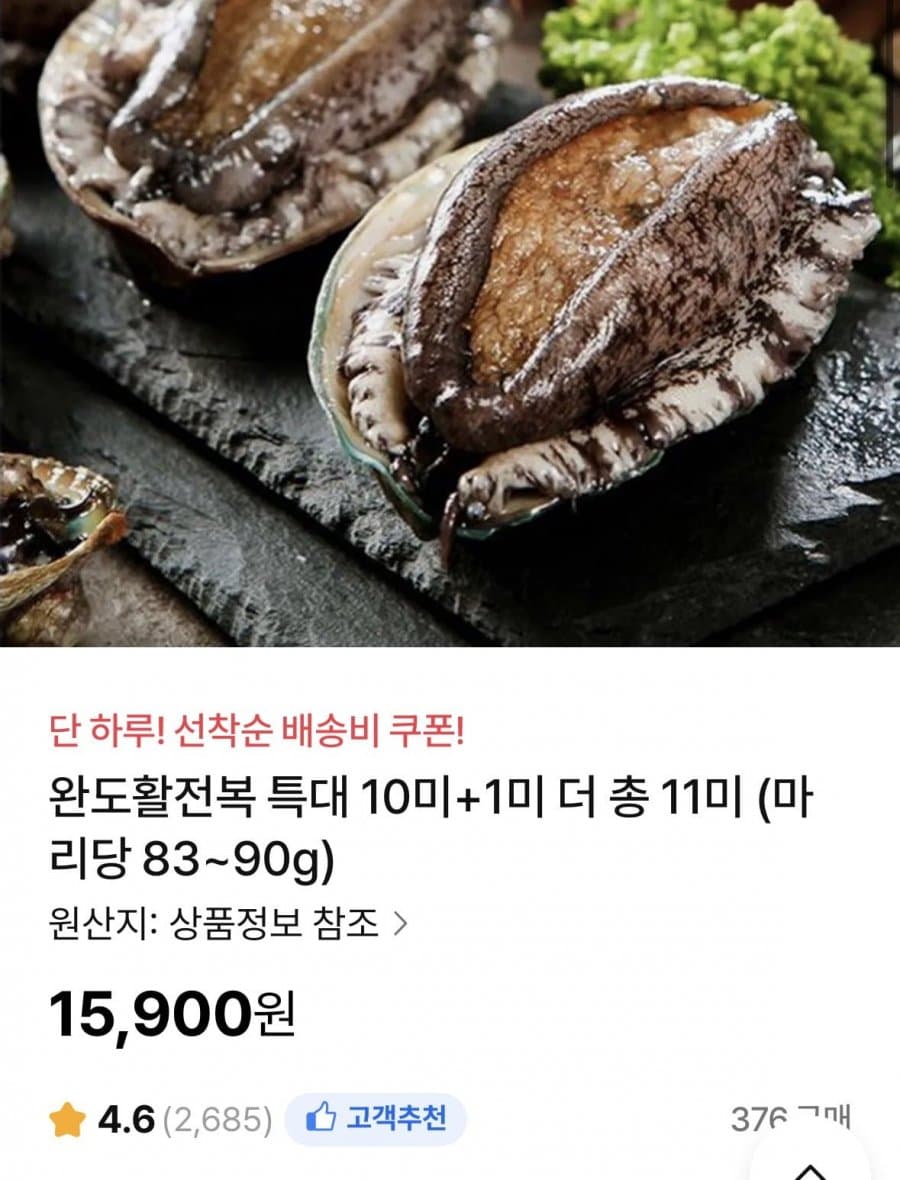 완도활전복 특대 11미
