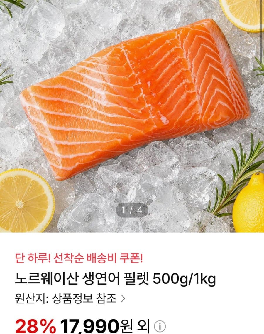 노르웨이 생연어 필렛 500g