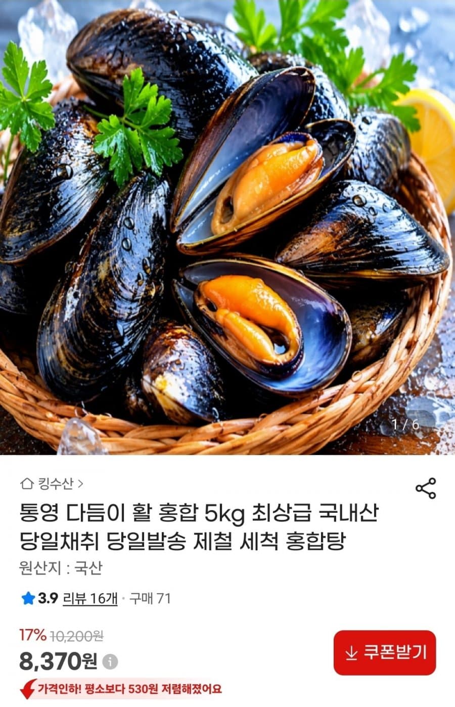 국내산 활 홍합 5kg