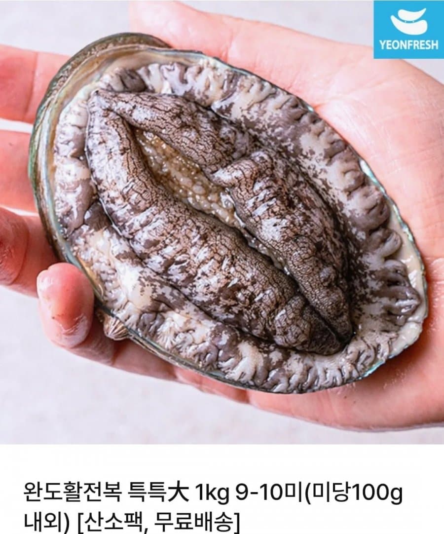 완도 활 전복 1kg