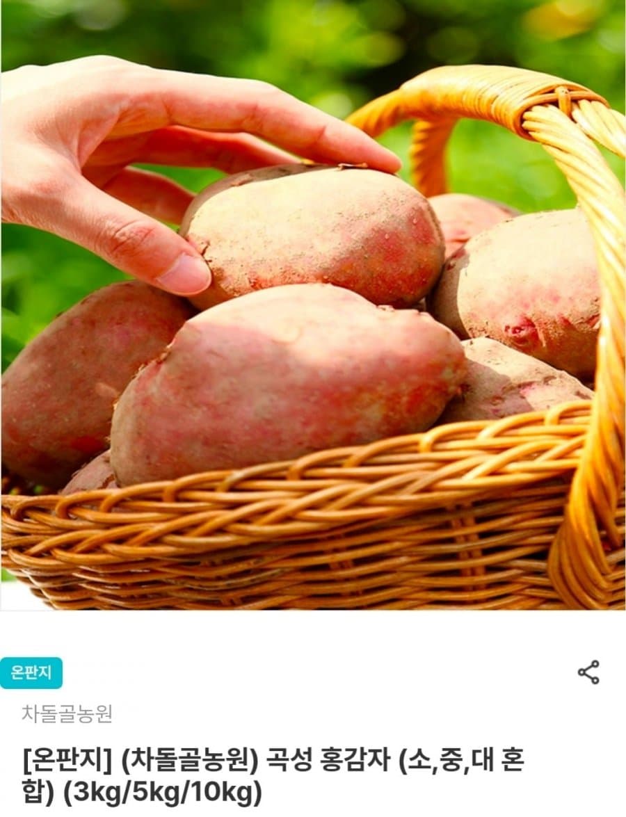 곡성 홍감자 3kg