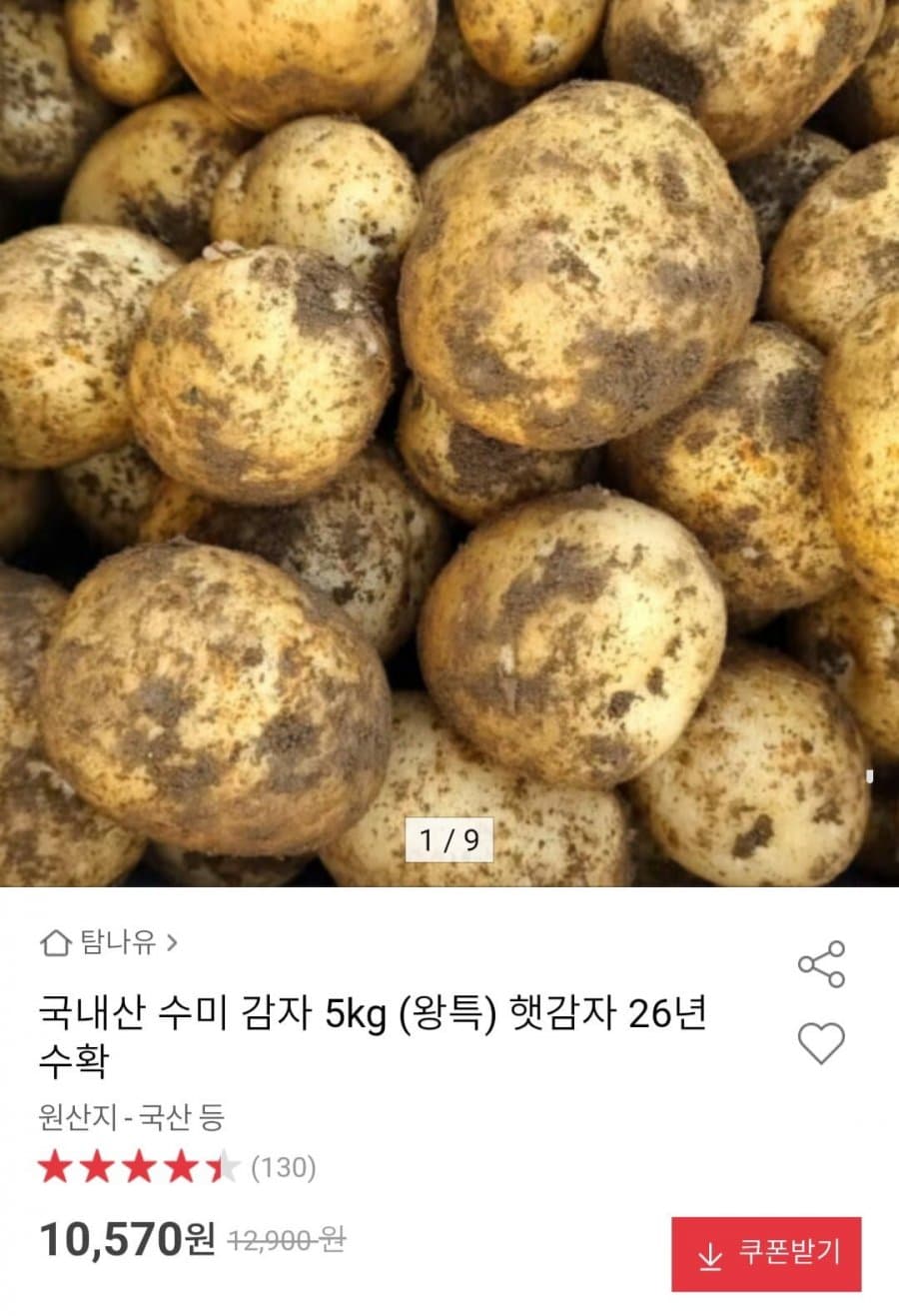 국내산 수미 감자 5kg