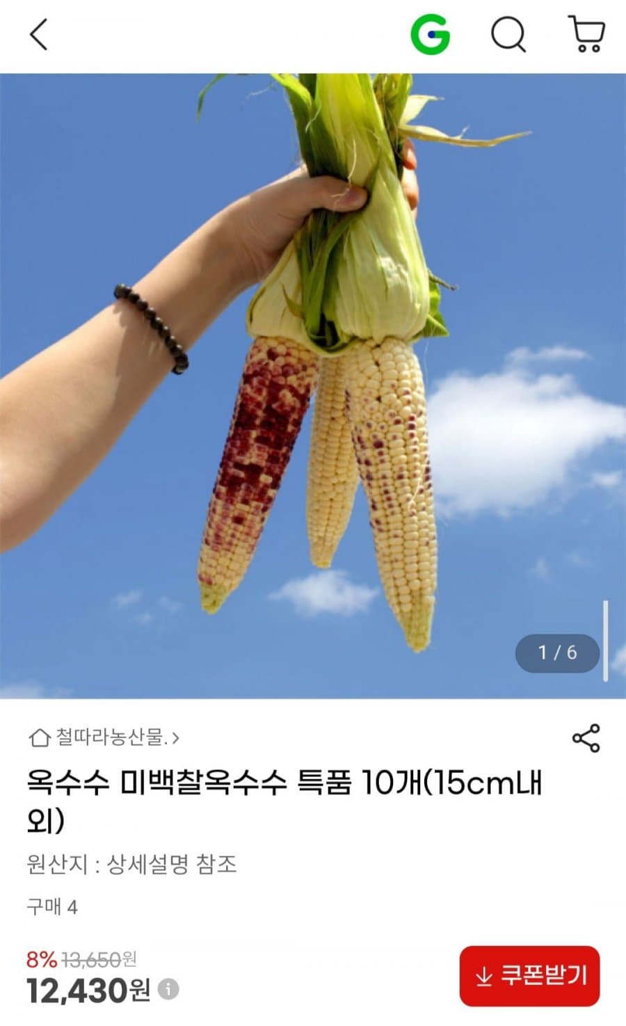 미백 찰 옥수수 특품 10개