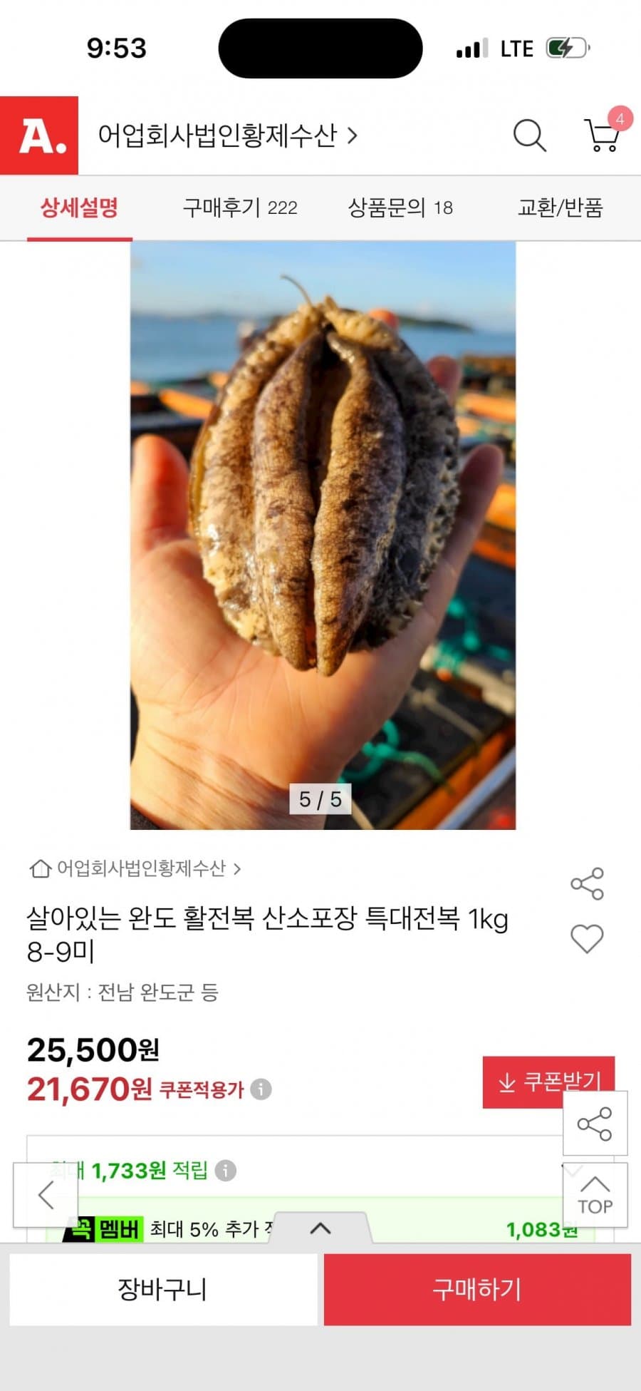 완도 활전복 왕특대 1kg