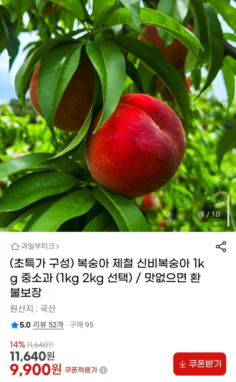 신비복숭아 1kg 중소과