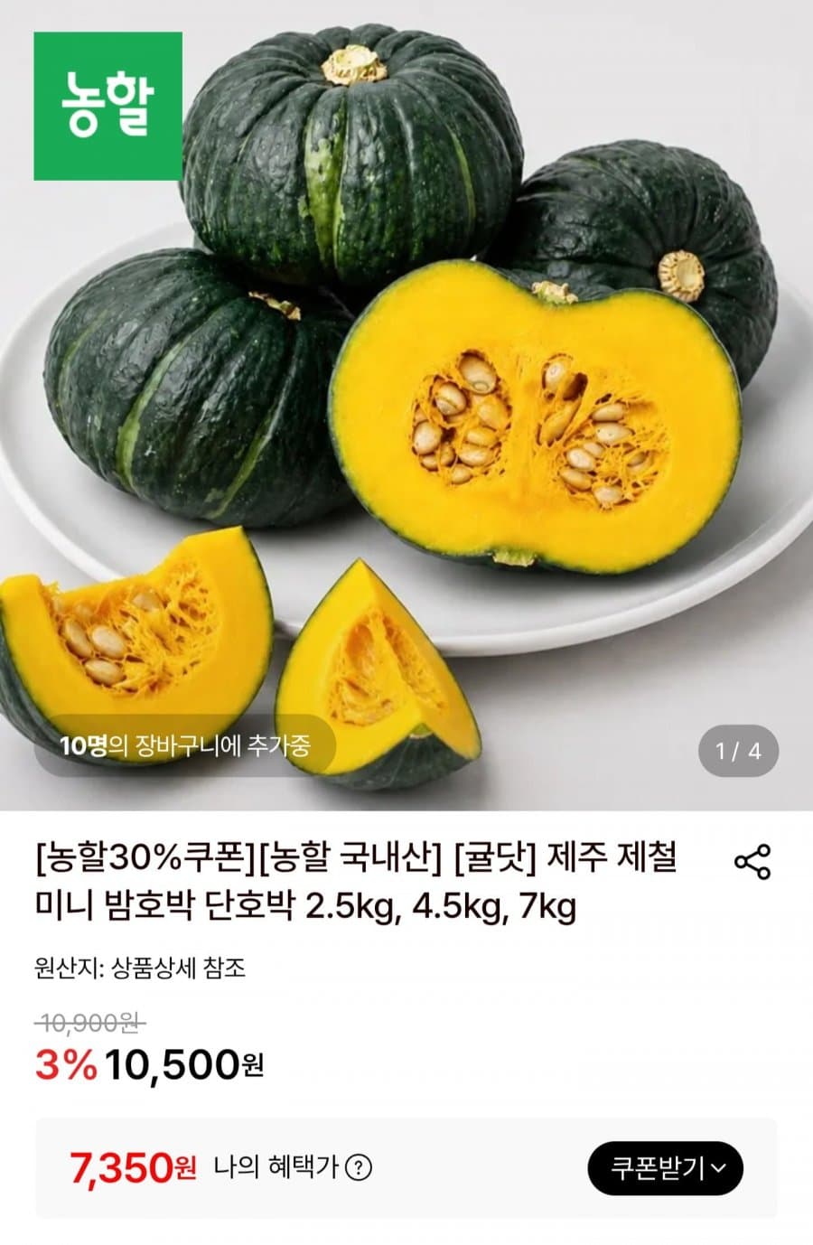 제주 미니밤호박 2.5kg