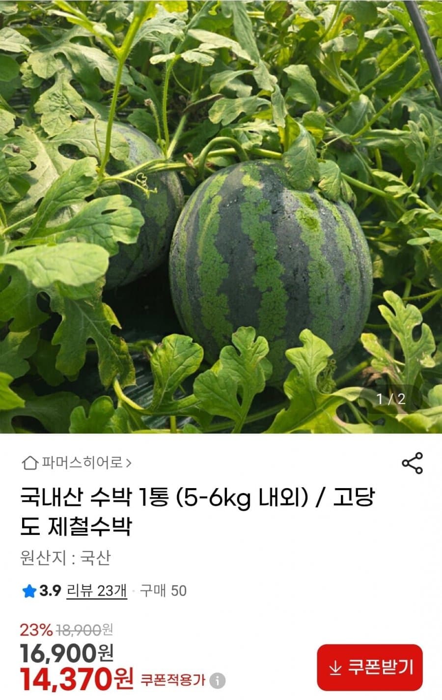 국내산 수박 1통
