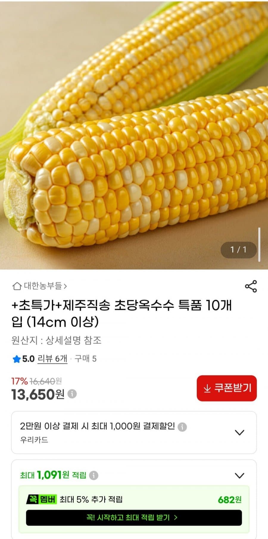 초당옥수수 특품 10개입