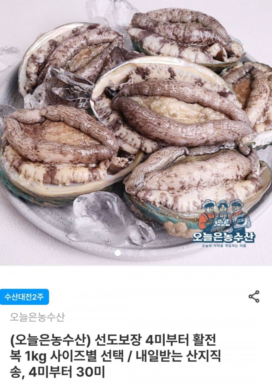 활전복 5미 1kg