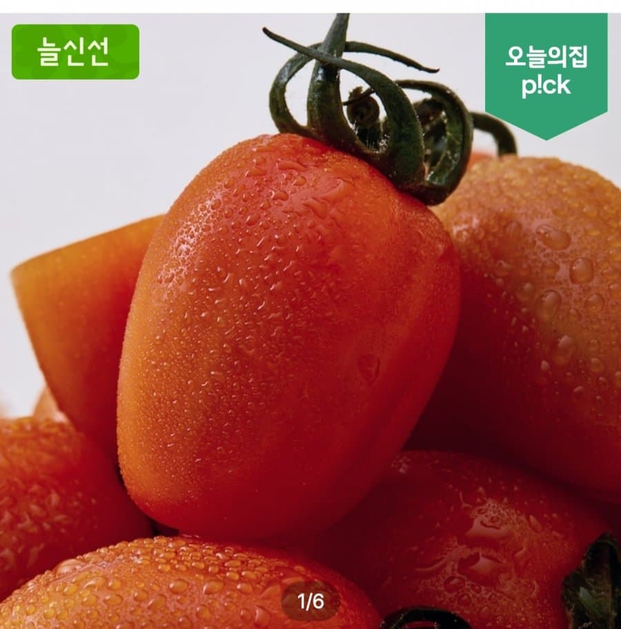 스테비아 토망고 500g×4팩
