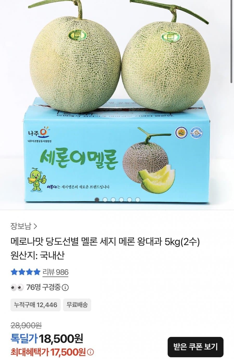 세지멜론 왕대과 5kg