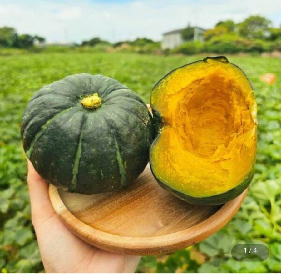 미니단호박 로얄사이즈 4kg