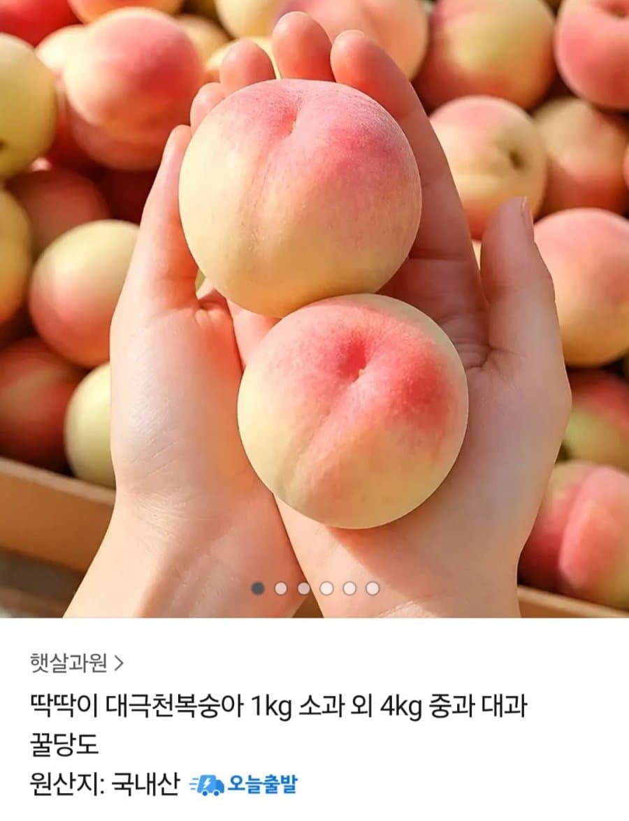 국내산 대극천복숭아 1kg