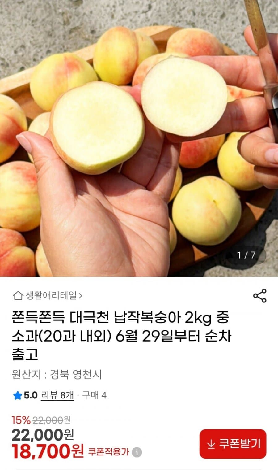 대극천 납작복숭아 2kg