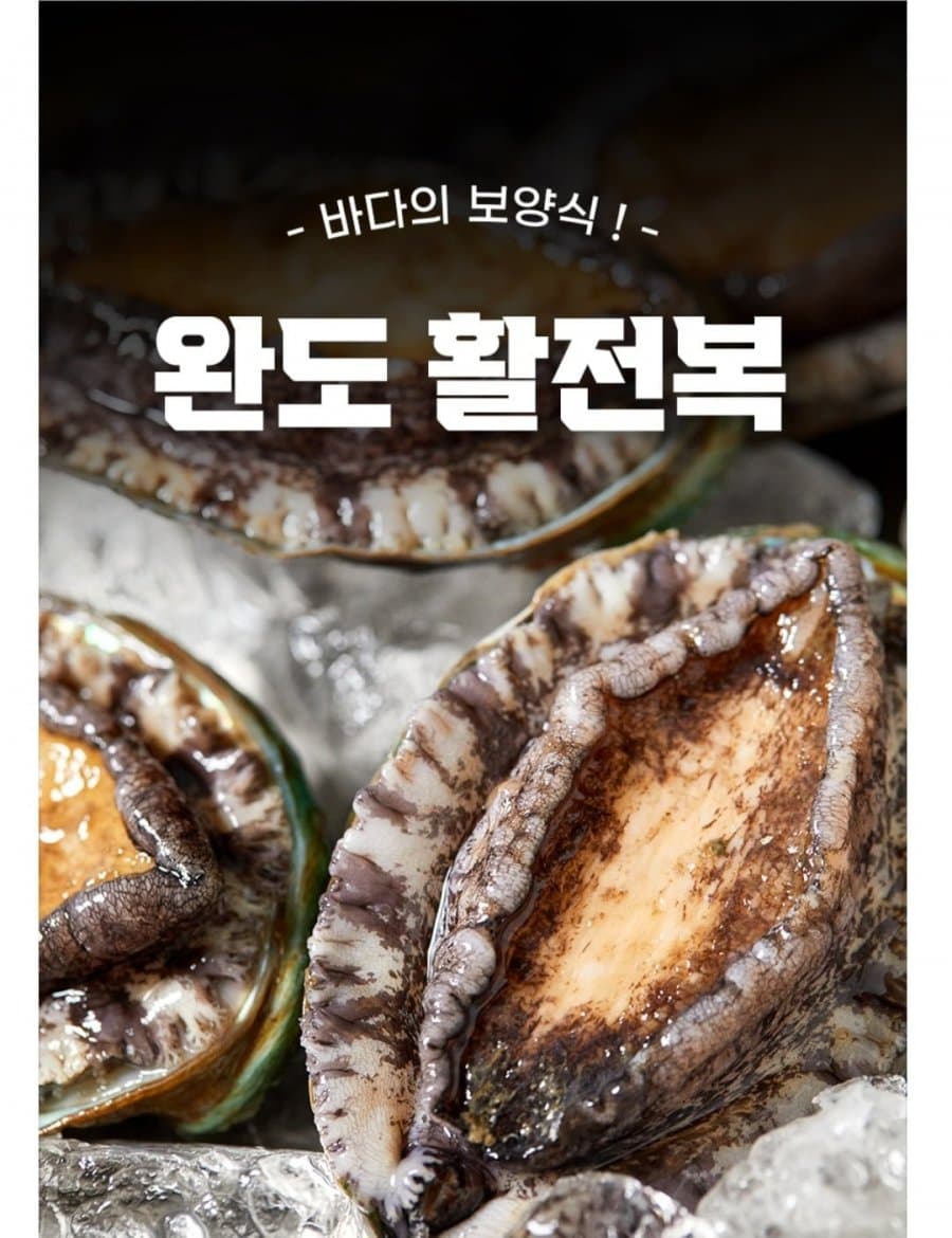 완도활전복 1kg 5미