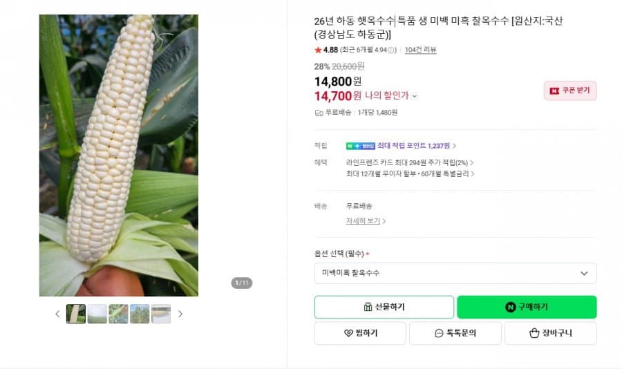 햇옥수수 흑찰 16cm 이상