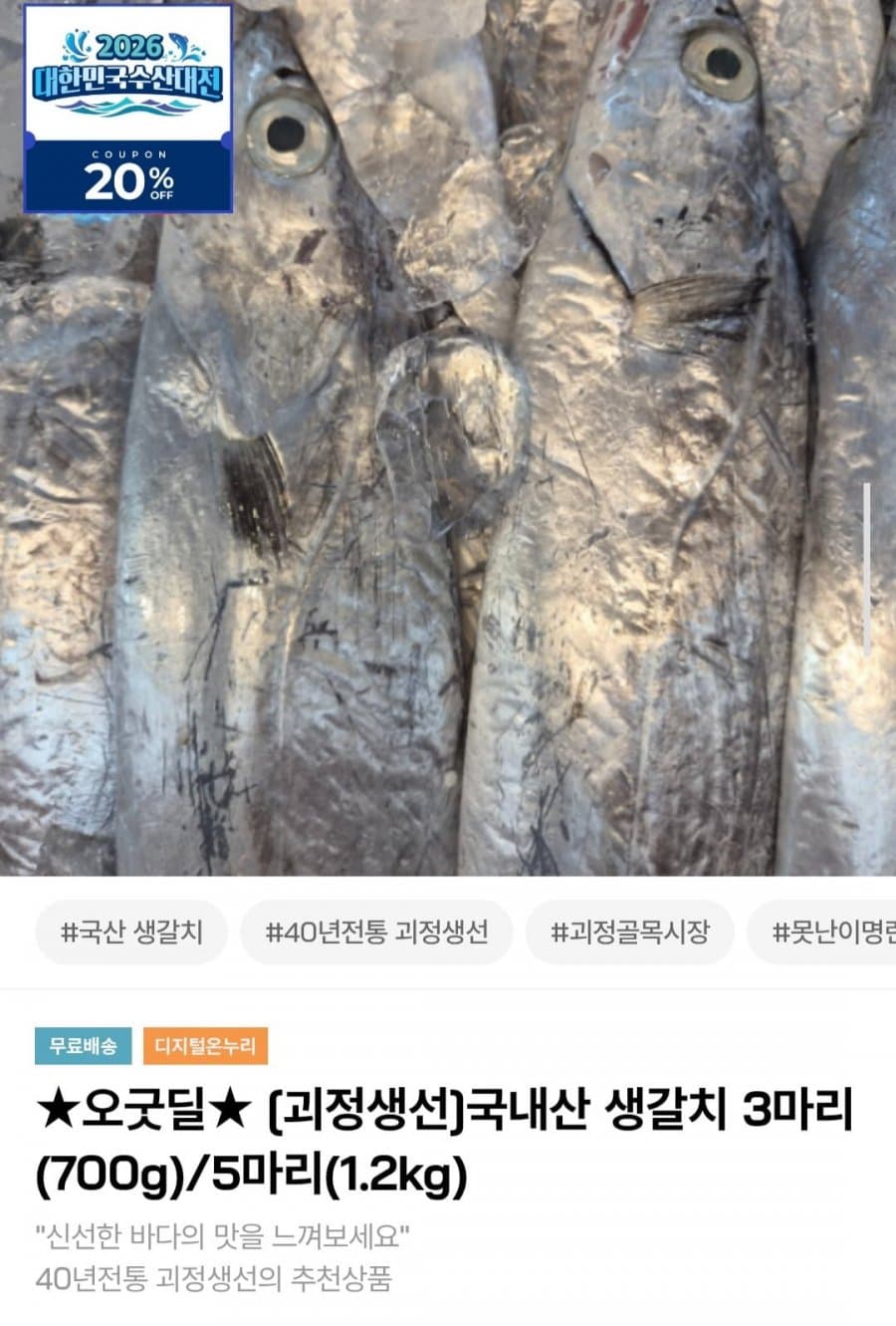 국내산 생갈치 3마리