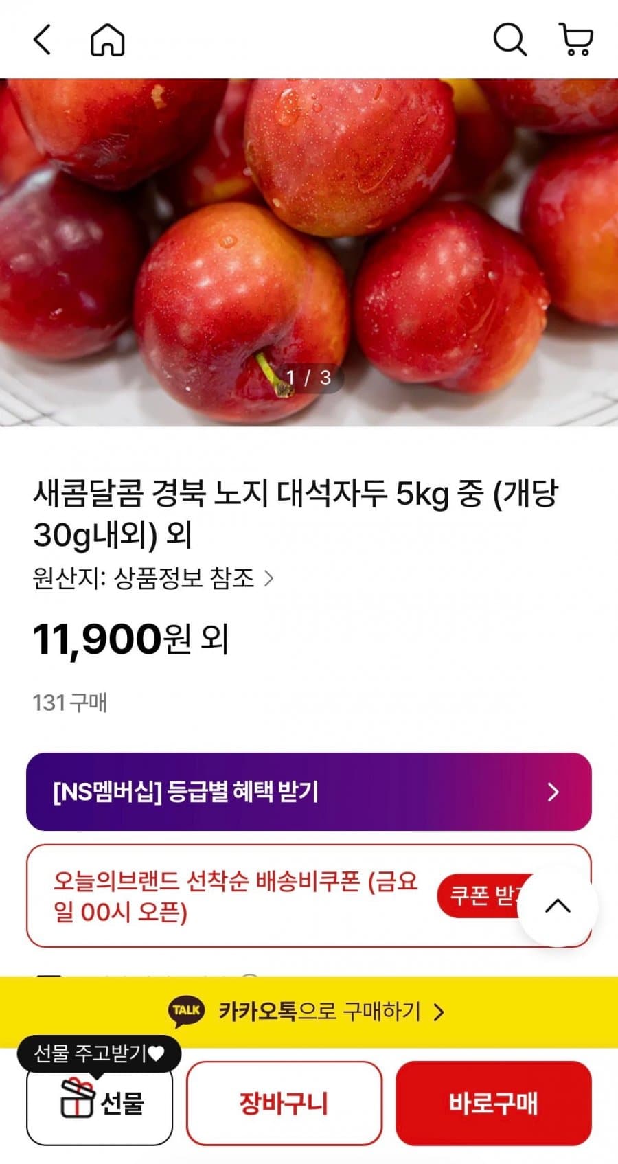 경북 노지 대석자두 5kg
