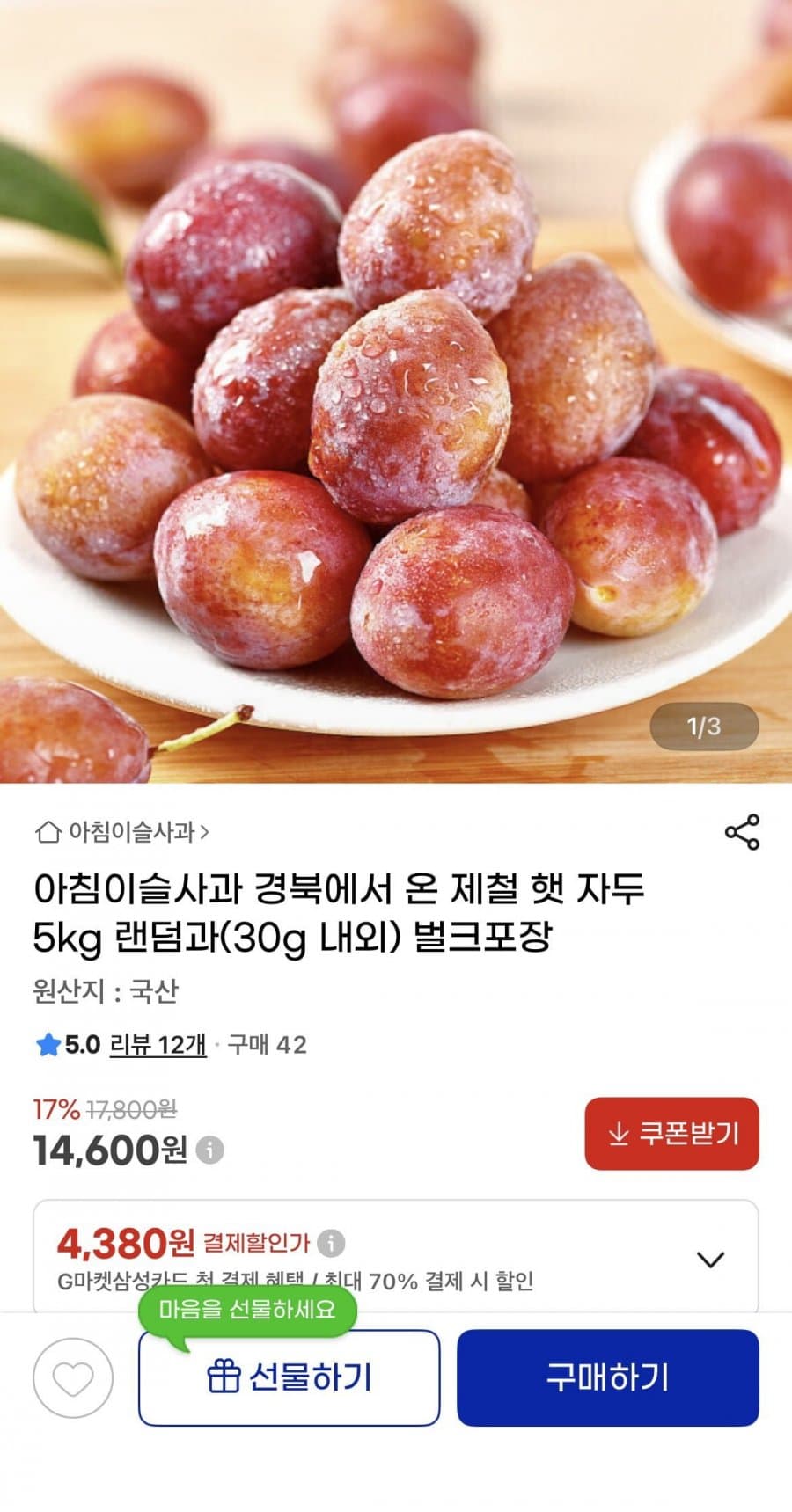 경북 햇 자두 5kg