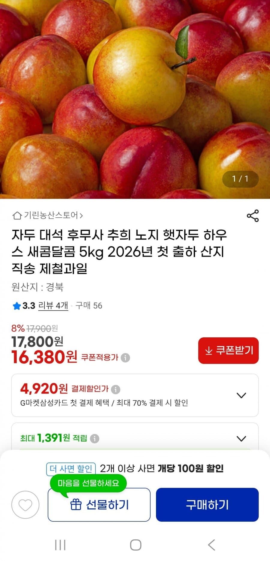 후무사 자두 5kg