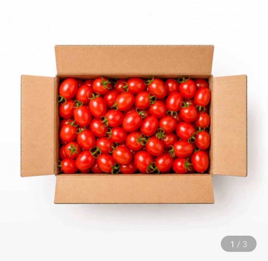 대추방울토마토 2kg