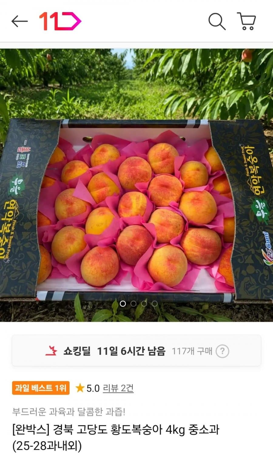 황도복숭아 4kg